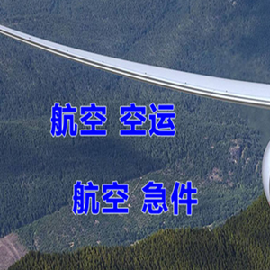 湛江吴川机场邮寄快递-选东方航空和上海航空